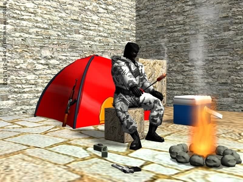 camping[1]